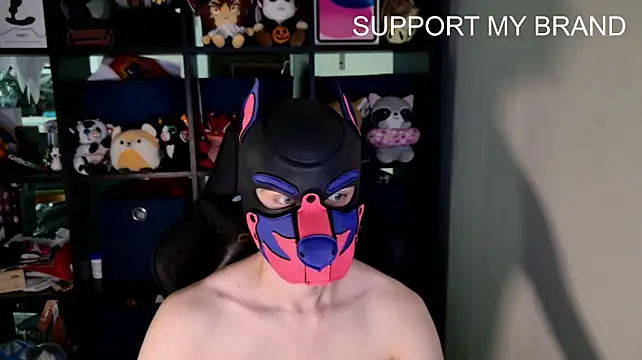MellPUP Momentaufnahme des Live-Raums auf Stripchat