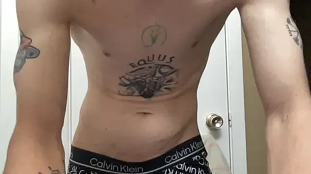 Mikeswanston Momentaufnahme des Live-Raums auf Stripchat