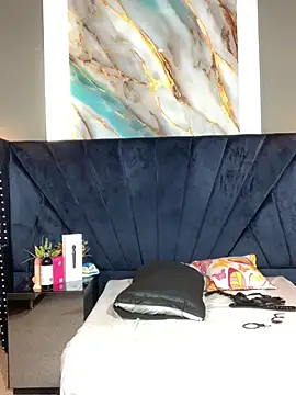 Salomon_koude Momentaufnahme des Live-Raums auf Stripchat