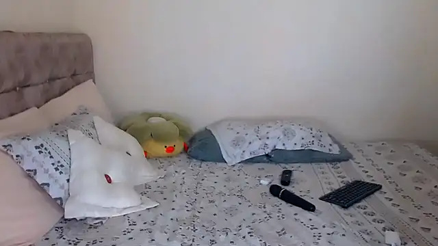 Sara-04 Momentaufnahme des Live-Raums auf Stripchat