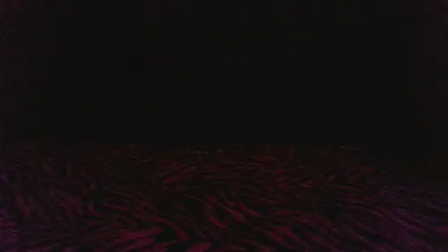 SyBo2026 Momentaufnahme des Live-Raums auf Stripchat