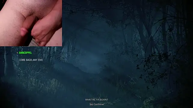 WARDOX5 Momentaufnahme des Live-Raums auf Stripchat