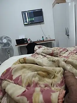 Willdpo Momentaufnahme des Live-Raums auf Stripchat