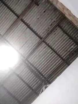 gingavi Momentaufnahme des Live-Raums auf Stripchat