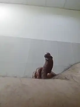 hbo54 captura de la sala en vivo en Stripchat