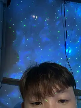 linhfag momentopname van live room op Stripchat