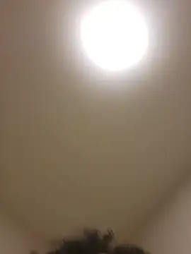 lofibunni Momentaufnahme des Live-Raums auf Stripchat