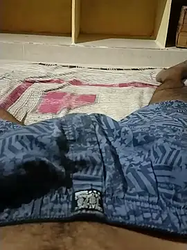 manjutelugu Momentaufnahme des Live-Raums auf Stripchat