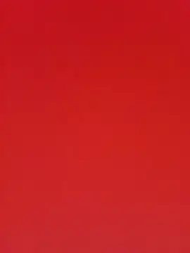 ni8sow captura da sala ao vivo na Stripchat