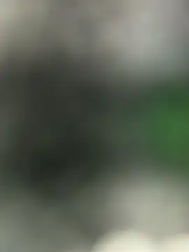 paopao-baobao6 Momentaufnahme des Live-Raums auf Stripchat