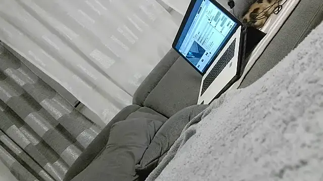 pimmelmann3 captura da sala ao vivo na Stripchat