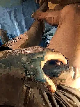 sexy_guy254 Momentaufnahme des Live-Raums auf Stripchat