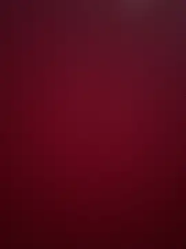 soceciliaok live room snapshot on Stripchat