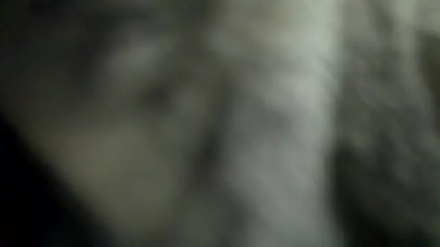 studlyhardwoodd live room snapshot on Stripchat