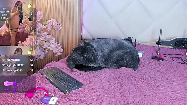 veronica_hill_ live room snapshot on Stripchat